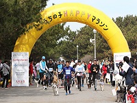 http://iishuusyoku.com/image/日本最大級のドッグマラソンイベント「うちの子HAPPYマラソン2019」に特別協賛。8000人を超える来場者を記録しました！