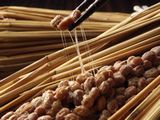 http://iishuusyoku.com/image/日々私たちが食品として摂取する納豆から、血液をサラサラにする成分を取り出します。