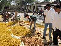 http://iishuusyoku.com/image/カレーに欠かすことのできないターメリックをはじめとした香辛料を大手食品メーカーに卸しています。