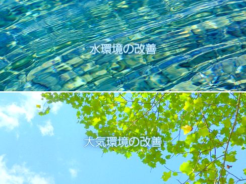 環境対策プラントの総合エンジニアリングを通じてライフラインを支え、豊かな社会の発展に貢献します。フィールドは世界です!