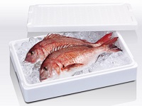 魚の鮮度をしっかりキープ!デリケートな生鮮食品の鮮度保持の面から物流に貢献します。