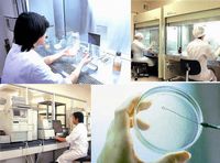 ナットウキナーゼ、あした葉、胡麻ミネラル、ビオチーム等、天然素材の健康食品原料の研究開発・製造販売を行っています。