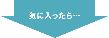 気に入ったら…